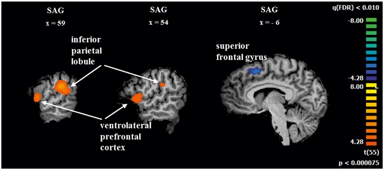 Fig. 3.