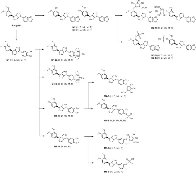 Fig. 6