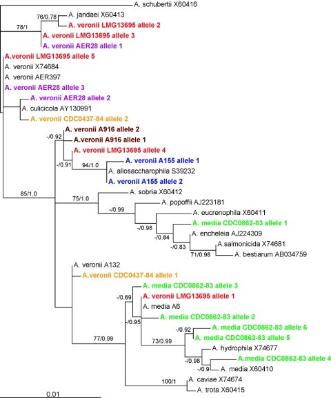 FIG. 3.