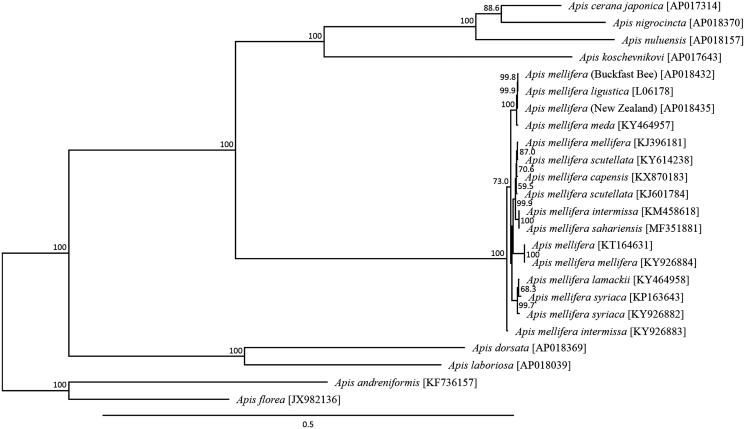 Figure 1.