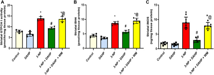 FIGURE 2