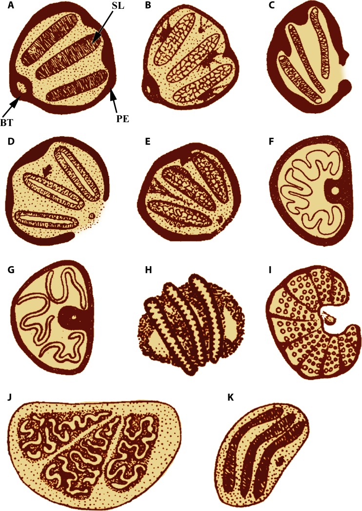 FIG 7