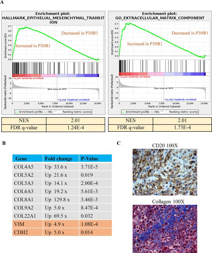 Fig 13