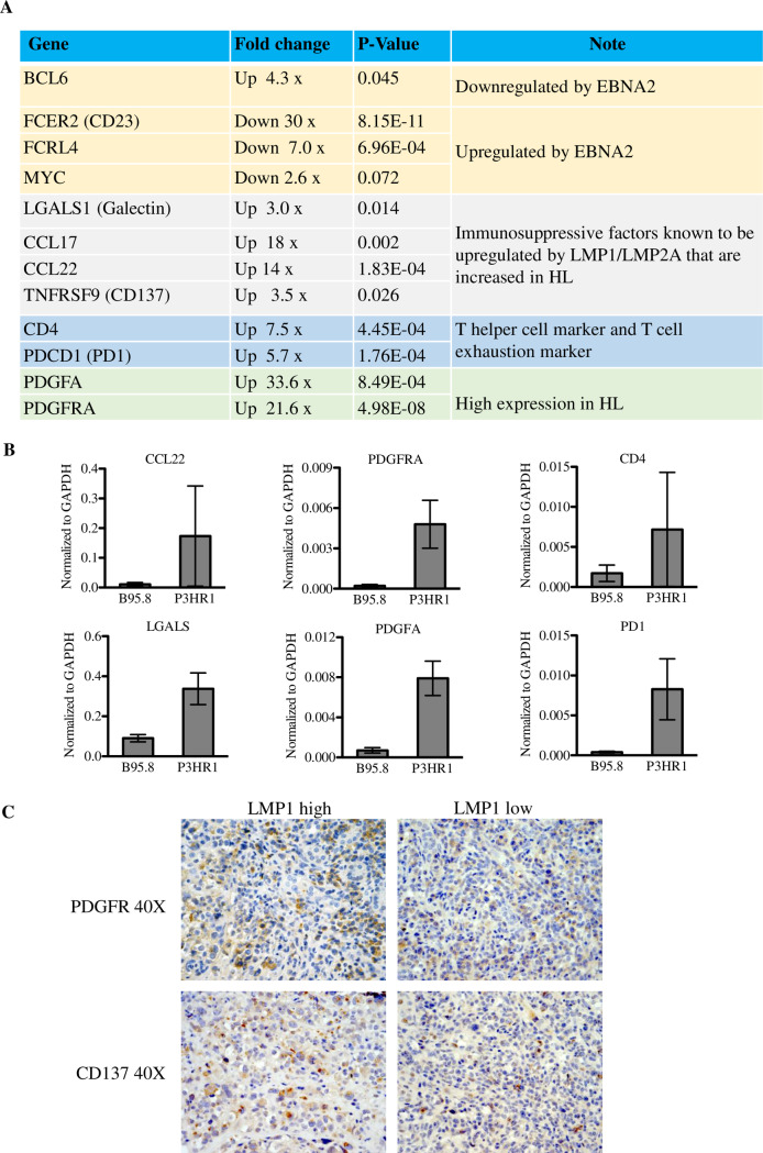 Fig 10