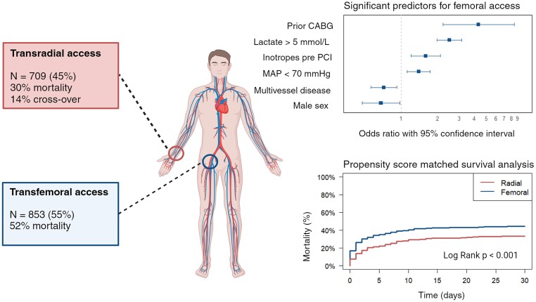 Graphical Abstract