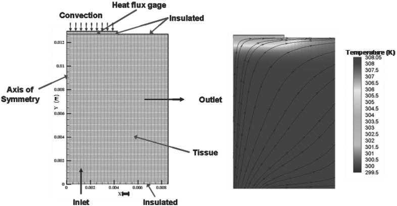 A Phantom Tissue System for the Calibration of Perfusion Measurements - PMC