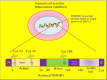 Fig. 6(A)