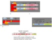 Fig. 2(B)