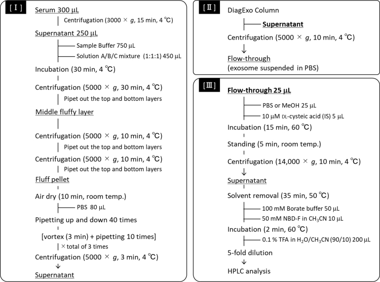 Supplemental Scheme 1