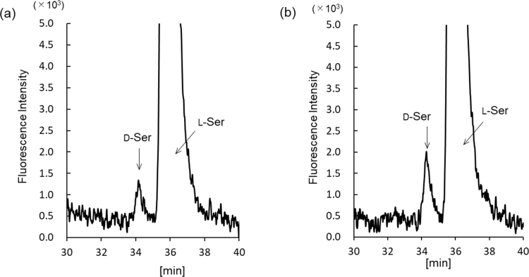 Supplemental Fig. 2