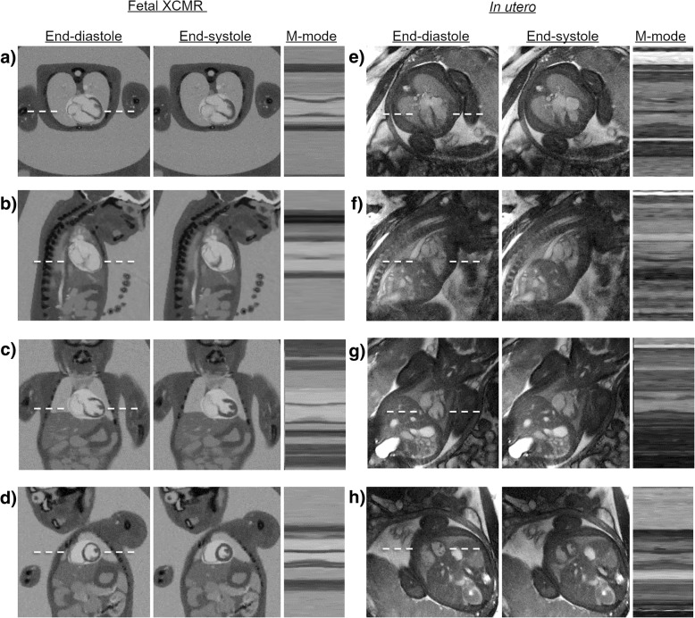 Fig. 7