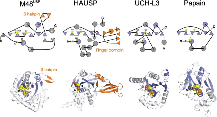 Figure 6