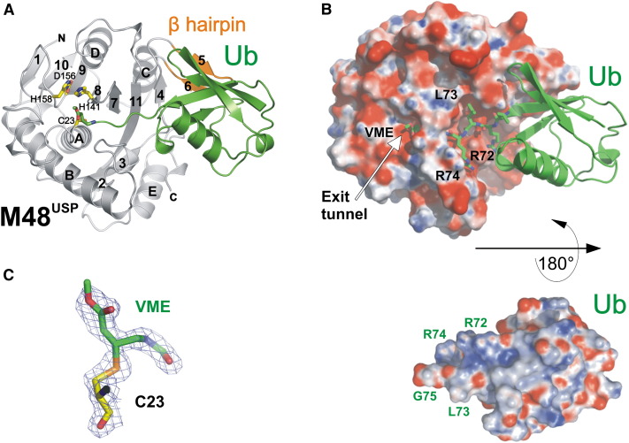 Figure 2