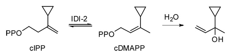 Scheme 3