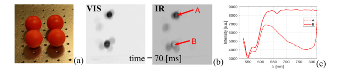 Fig. 8