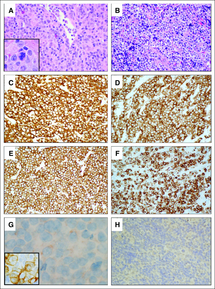 FIG 2.