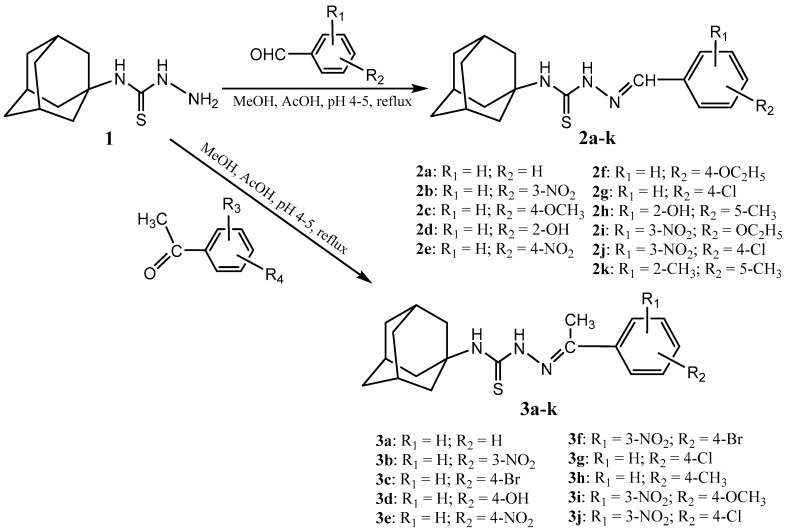 Scheme 1