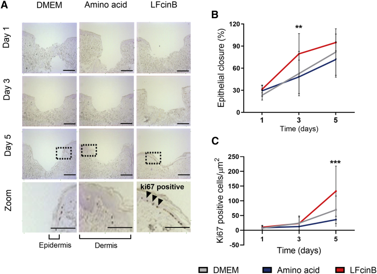 Figure 3