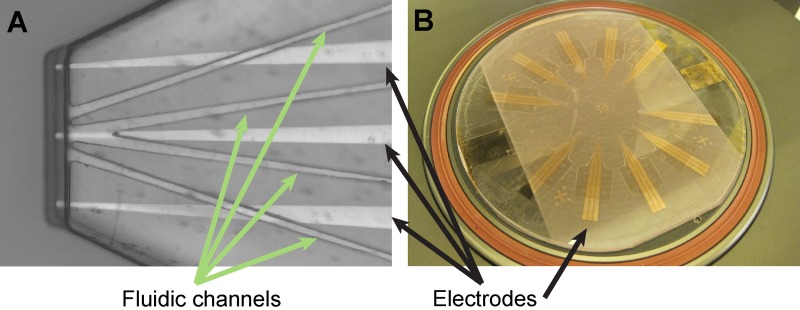 FIG. 9.