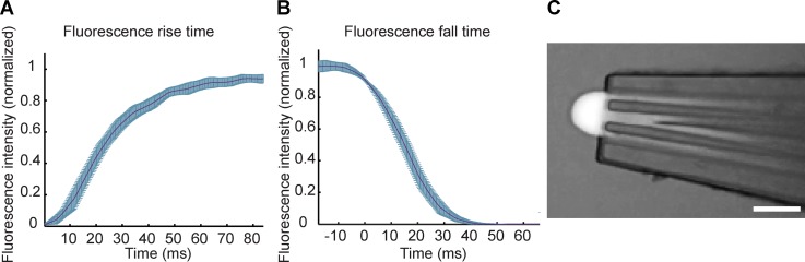 FIG. 8.