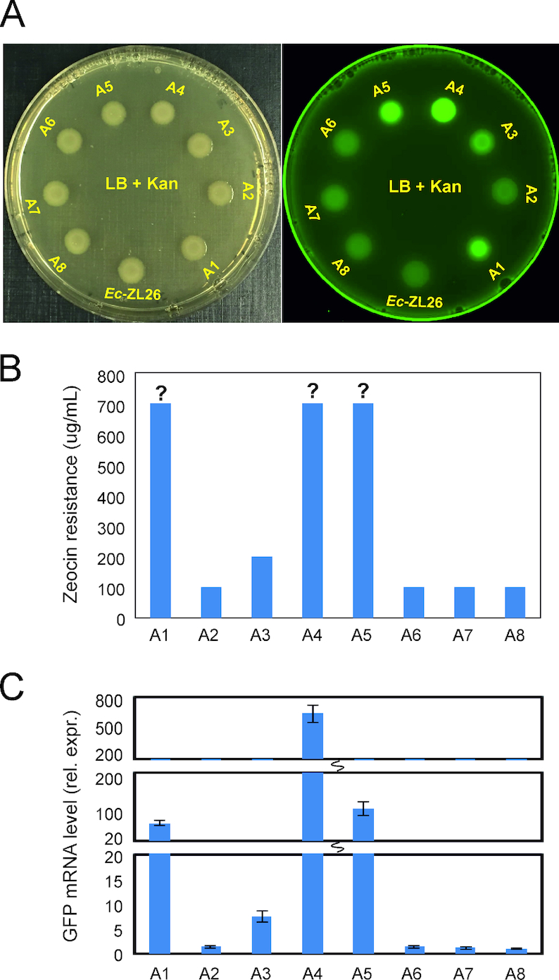 Figure 2.