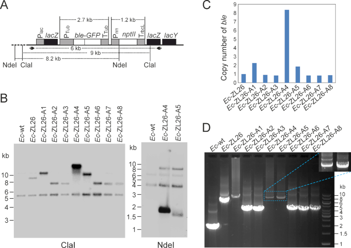 Figure 3.