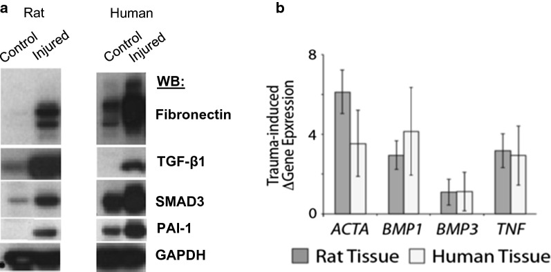 Fig. 7