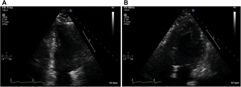 Figure 5