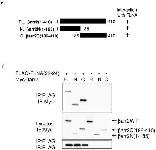 FIG.4.