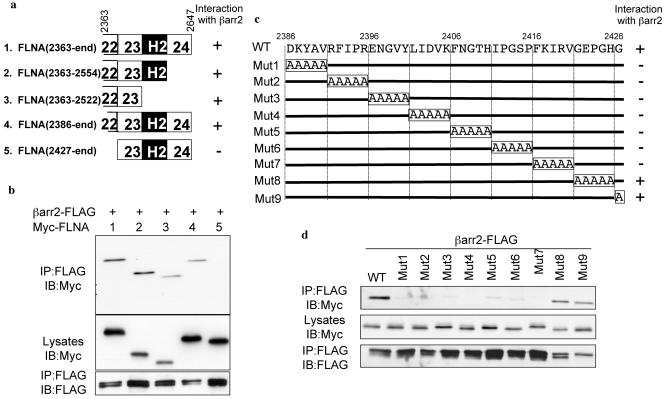 FIG.4.