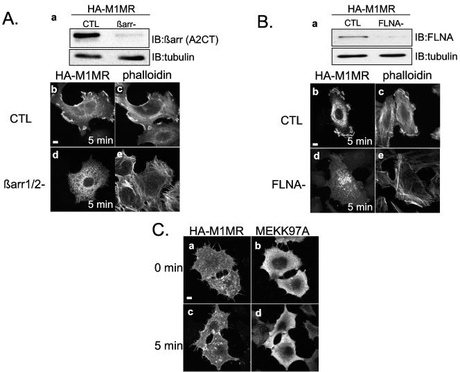 FIG.9.