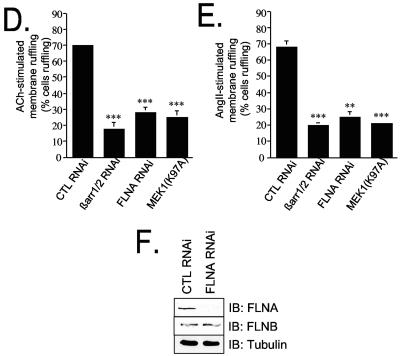 FIG.9.