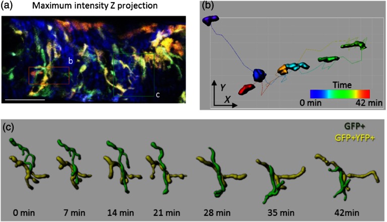 Fig. 9