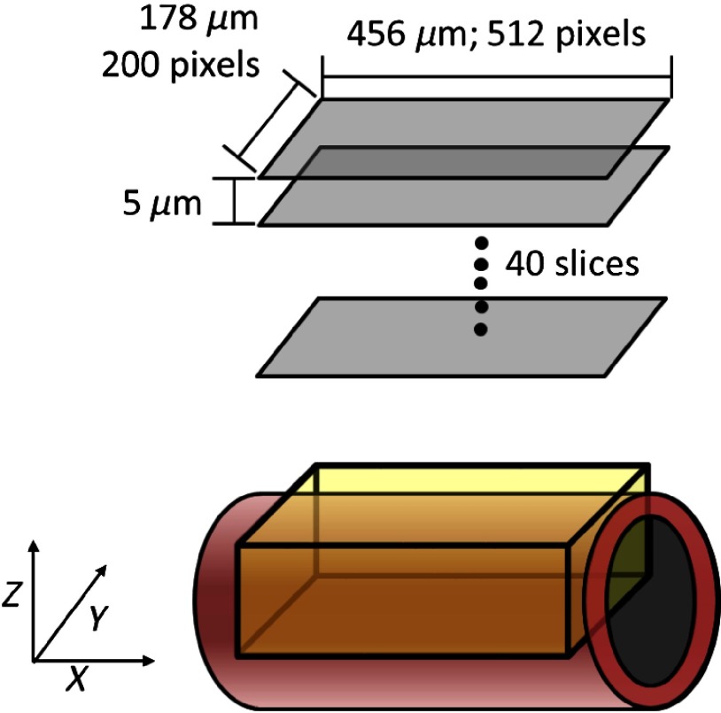 Fig. 7