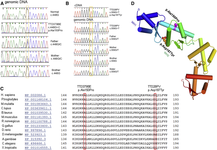 Figure 4