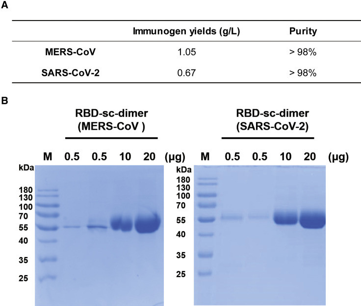 Figure 5