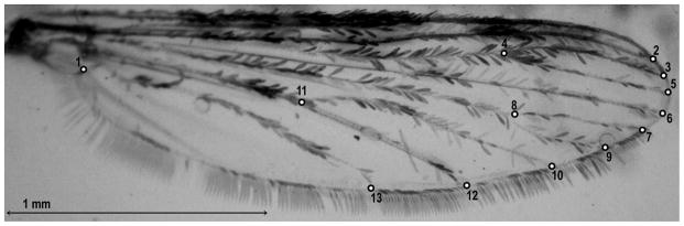 Fig. 2