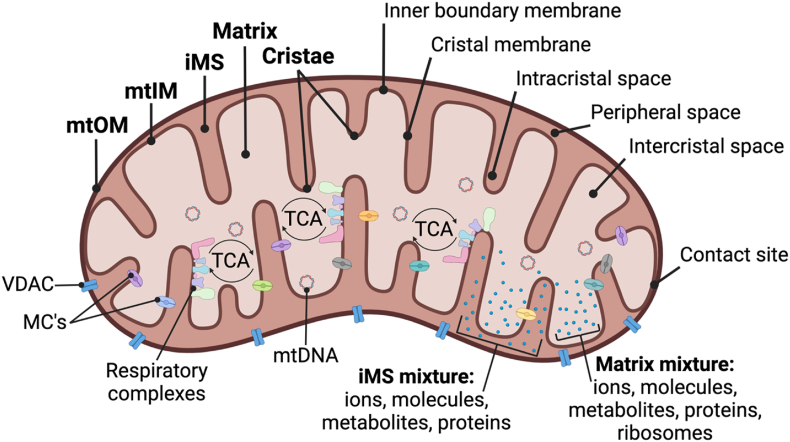 Figure 1