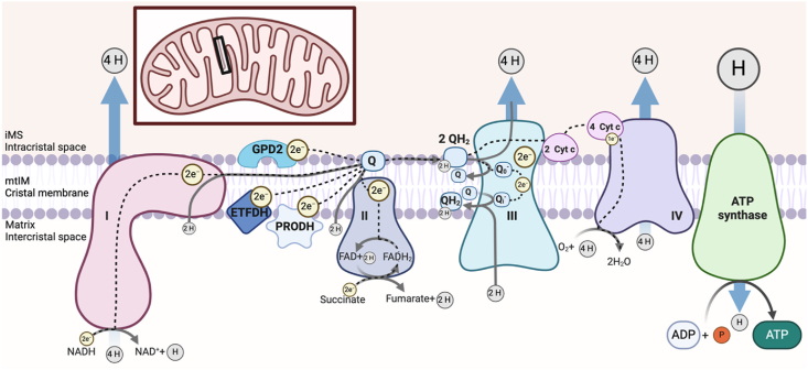 Figure 2