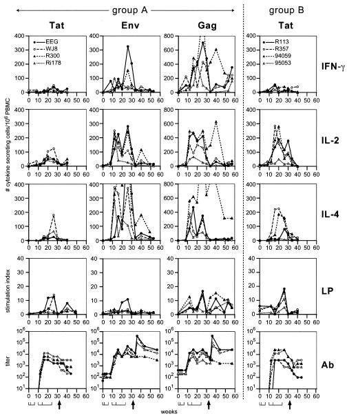 FIG. 2.