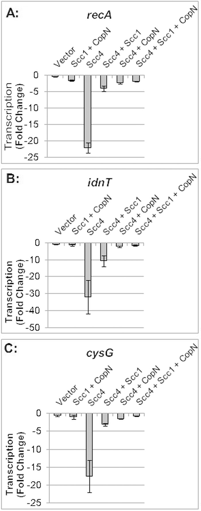 FIG 2