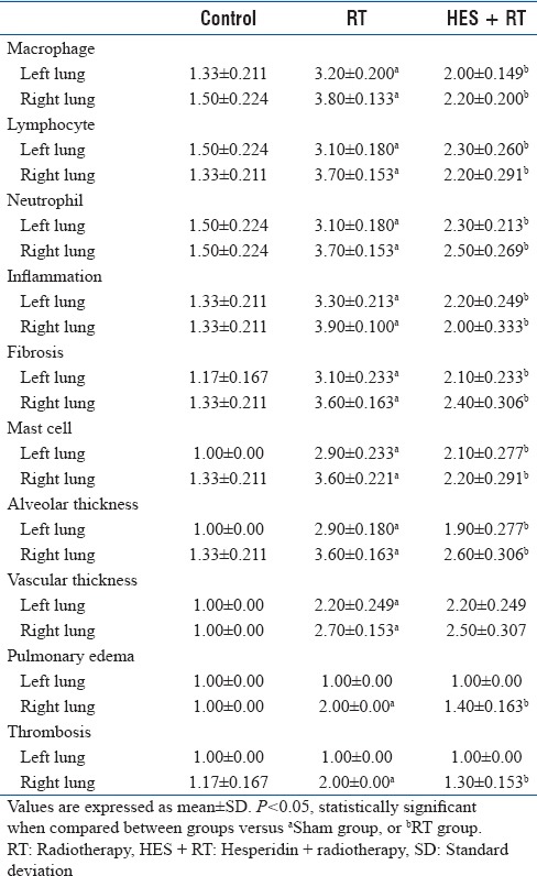 graphic file with name JMP-42-25-g008.jpg