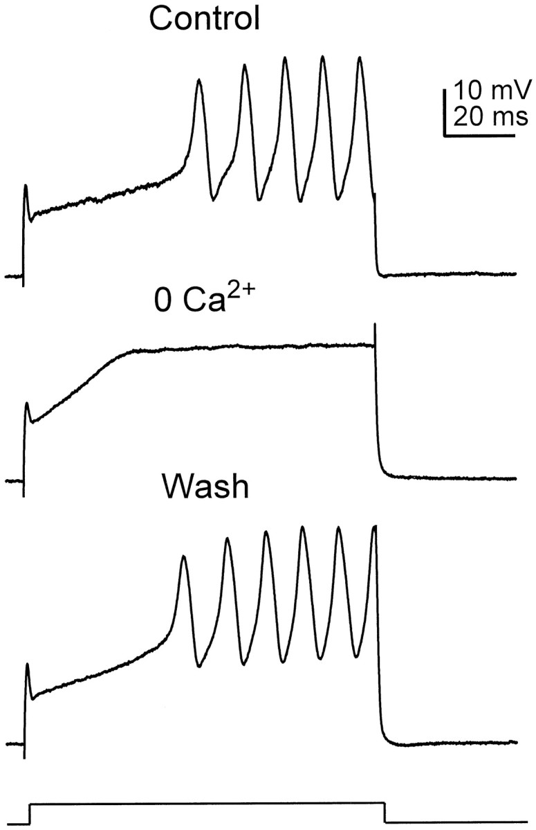 Fig. 8.