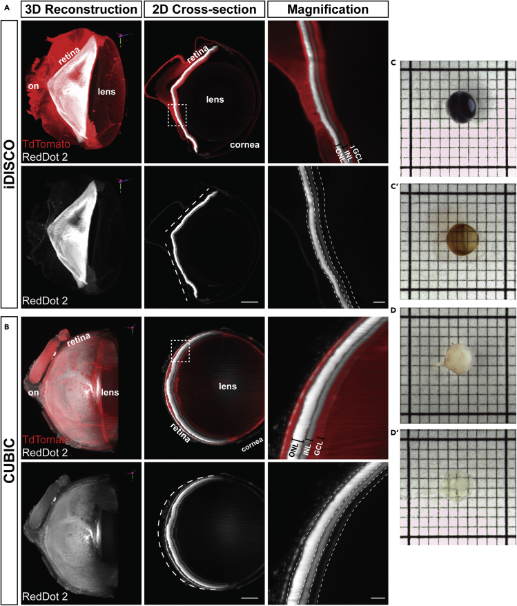 Figure 2