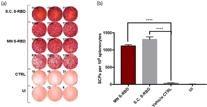 FIGURE 4