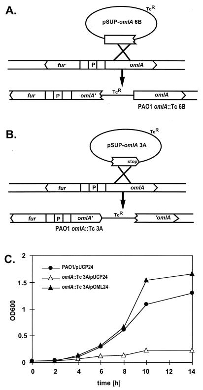 FIG. 5