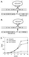 FIG. 5