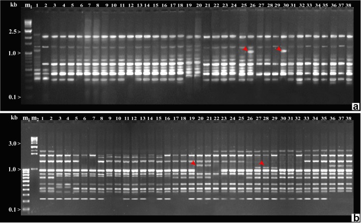 Fig. 4