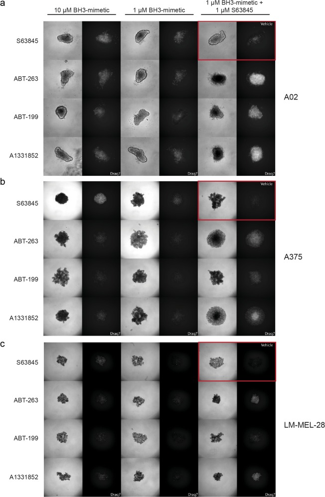 Fig. 5