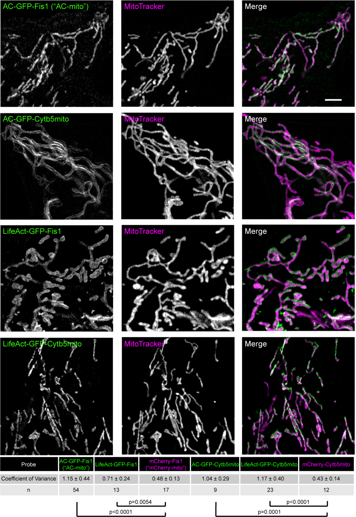 Extended Data Figure 4: